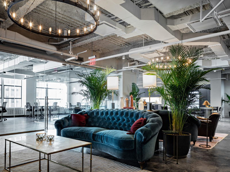 Coworking Spaces: Today Design and Amenities Take Center Stage - Relevance  International
